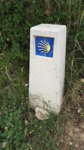 jakobsweg, shell, character, scallop, pilgrimage, blue, camino, jakobsweg, jakobsweg, jakobsweg, jakobsweg, jakobsweg, pilgrimage, pilgrimage, pilgrimage, camino